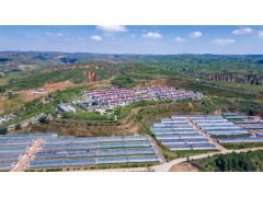聚焦2025全国两会|全国政协委员张萍：低空经济在西北大有可为