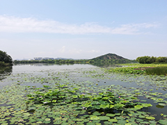 水利建设提速护安澜