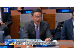 中方代表呼吁加大支持联合国近东救济工程处